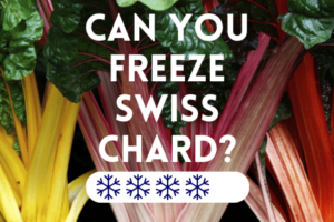Can You Freeze Swiss Chard?