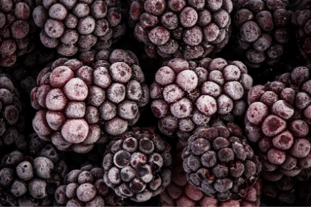 How to freeze blackberries