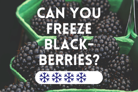 How To Freeze Blackberries