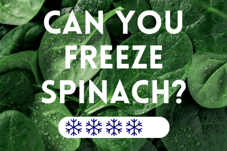 Can you freeze spinach?