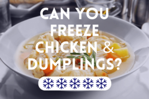 Can You Freeze Chicken and Dumplings?